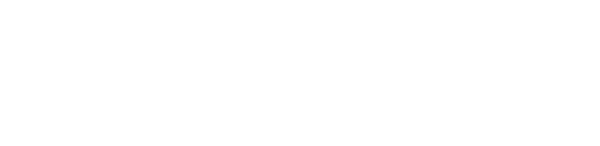 Palmain Digital Systems